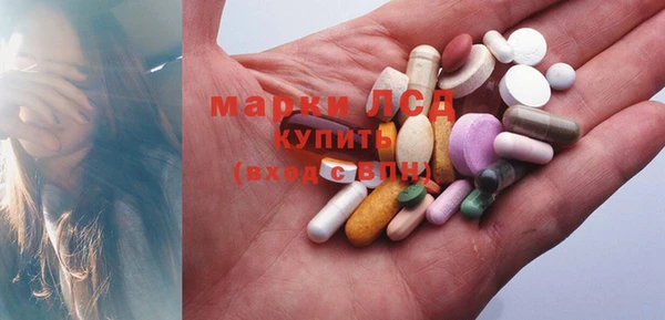 стаф Абинск