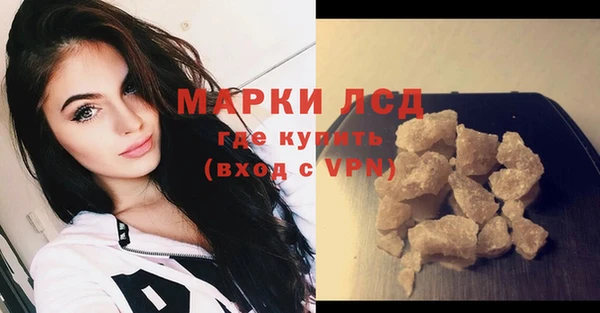 стаф Абинск
