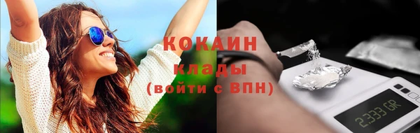 стаф Абинск