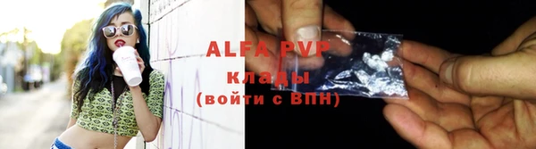 стаф Абинск